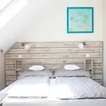 Fészek -étel és Hotel-bed&breakfast - Bike Point *