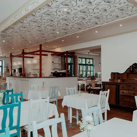 Feszek -etel Es Hotel-zanka