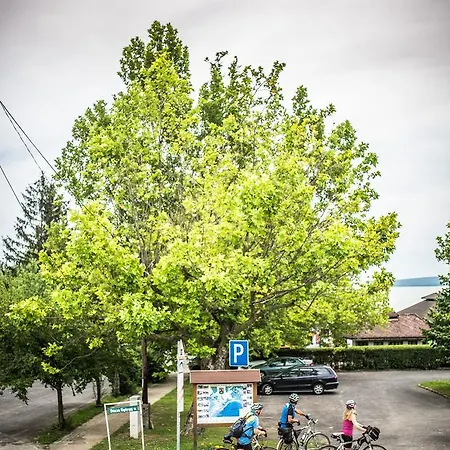 Feszek -etel Es Hotel- Hotel